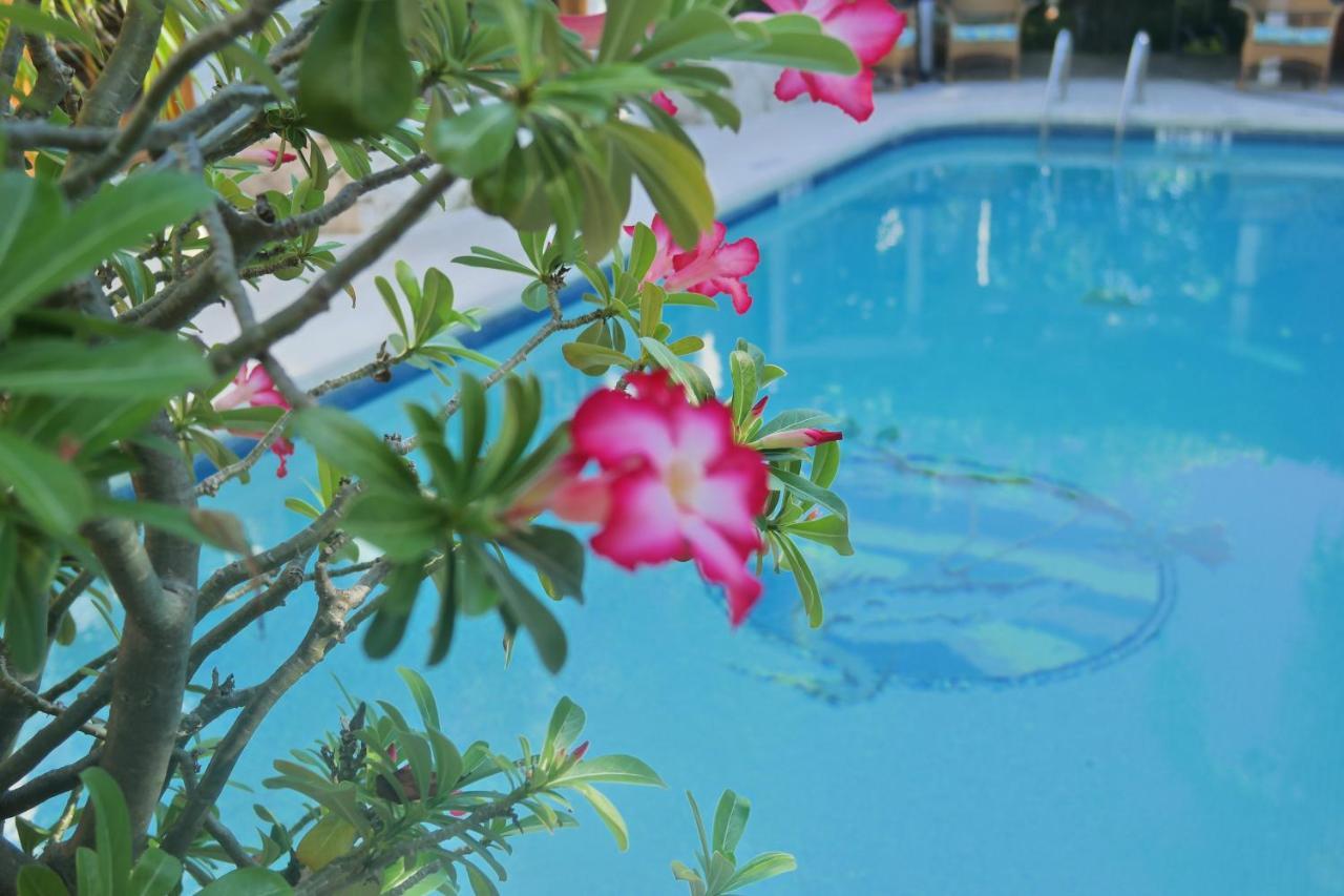 Heron House (Adults Only) Key West Exterior photo